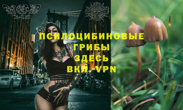 дживик Абаза