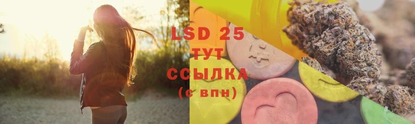дживик Абаза