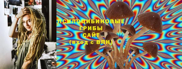 дживик Абаза
