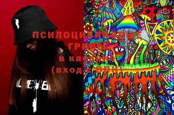 дживик Абаза