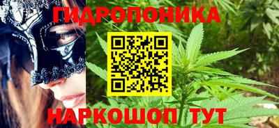 PSILOCYBIN Кунгур