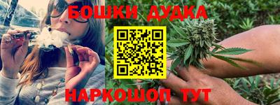 PSILOCYBIN Кунгур