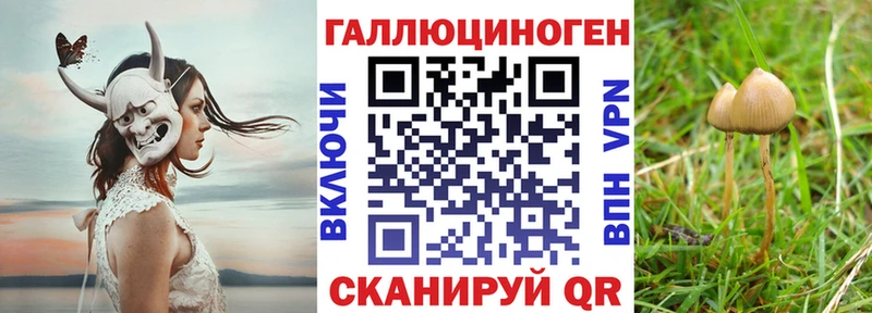 Псилоцибиновые грибы Psilocybe  Домодедово 