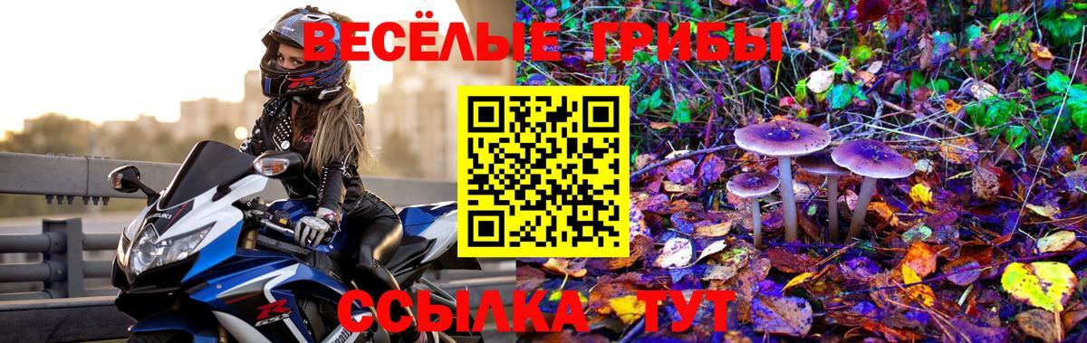 Галлюциногенные грибы ЛСД Домодедово