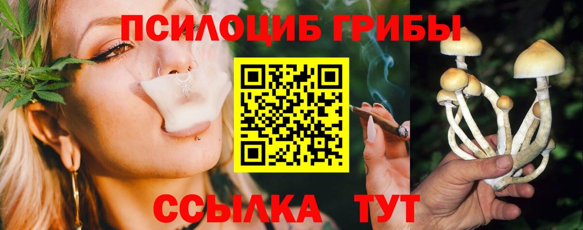 Галлюциногенные грибы Psilocybe  Псилоцибиновые грибы Magic Shrooms  Вход с VPN  Домодедово 